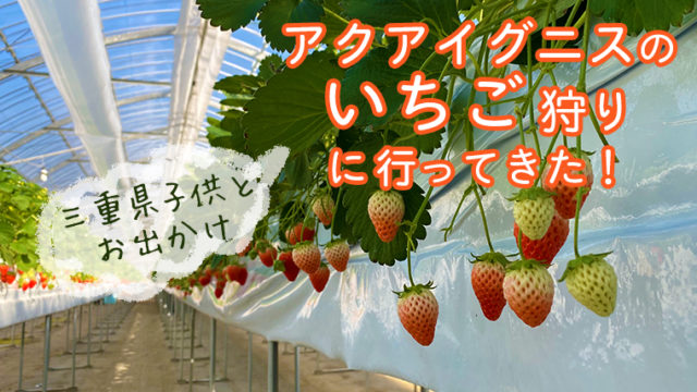 四日市イチゴ狩り アクアイグニスは沢山の品種が一度に楽しめお得感満載 三重県子供とお出かけ情報 のんび りライフ